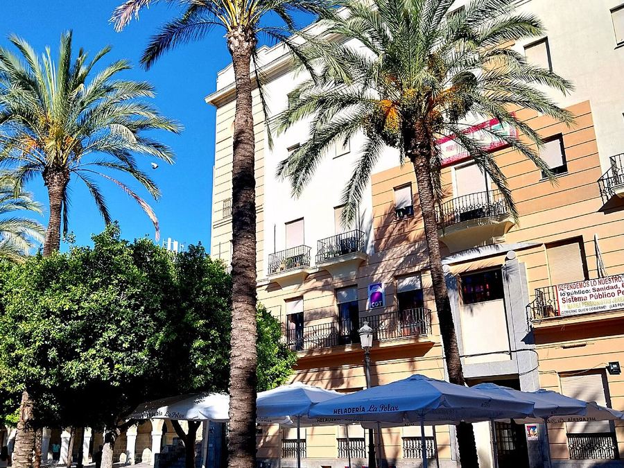 Plaza del Arenal con palmeras y terrazas